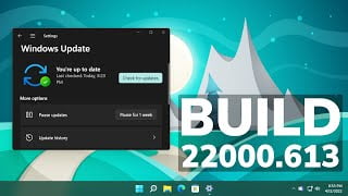 Microsoft ปล่อยอัปเดต Windows 11 Build 22000.613